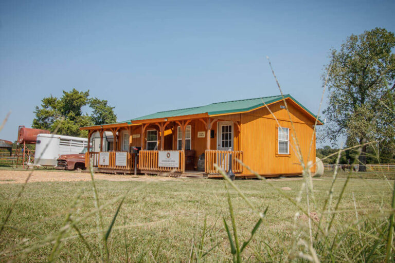 drug rehab Austin 768x512